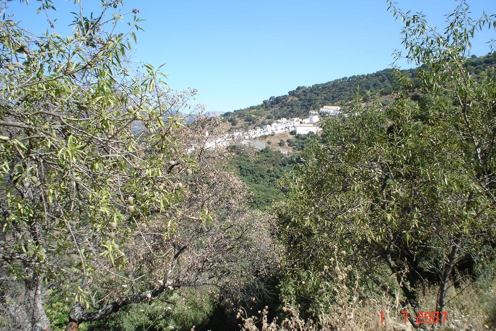 Casas Rurales Jardines Del Visir Genalguacil Exterior foto